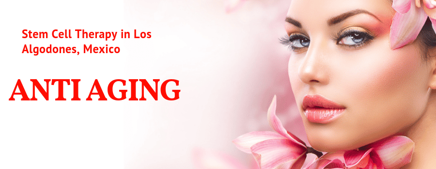 Stem Cell Therapy for Anti aging treatment in Los Algodones, Mexico